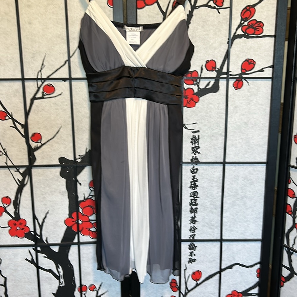 La Bellle color block cocktail dress